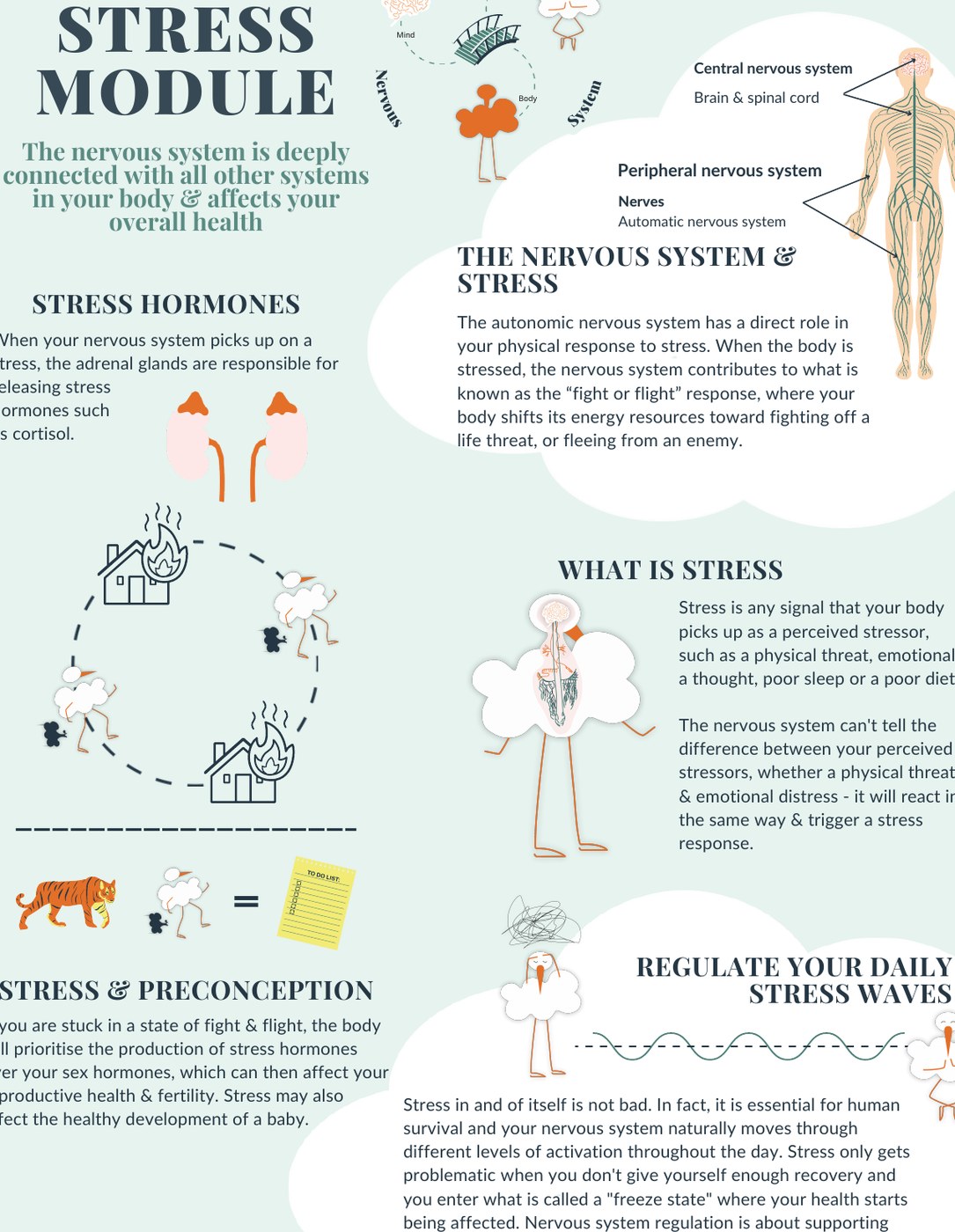 Selected Storka infographic about stress across mind, soul and body