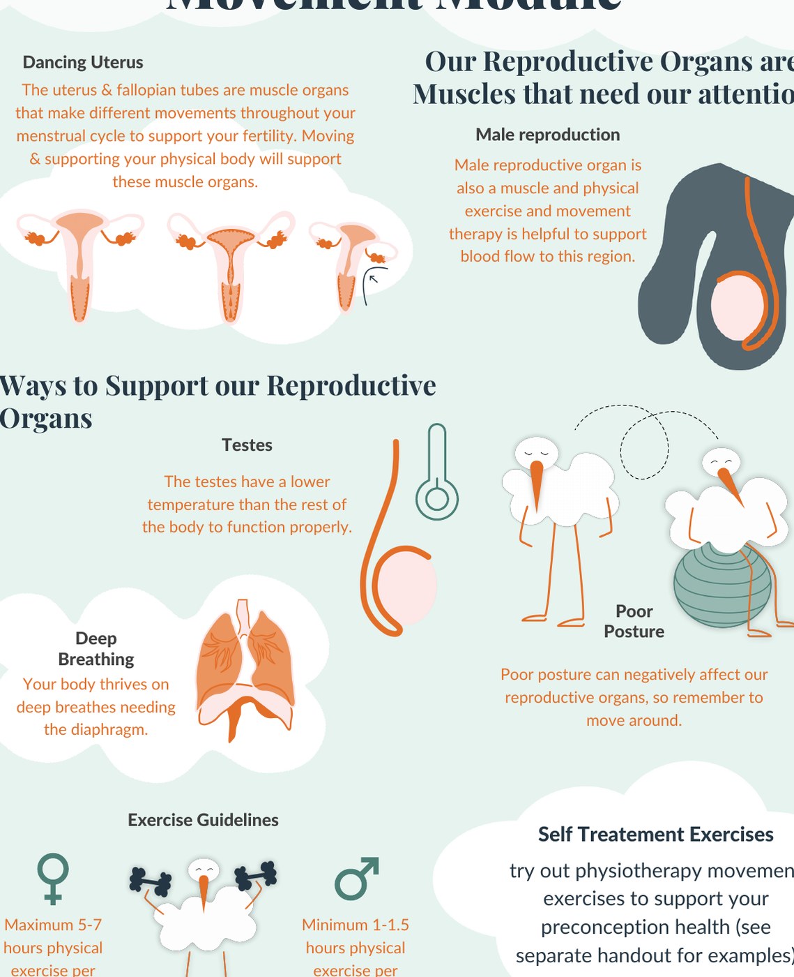 Selected Storka illustrations about reproductive movement and recovery