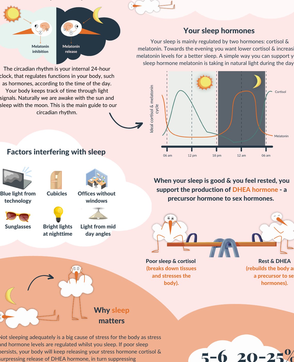 Selected Storka illustration explaining the sleep-wake rhythm